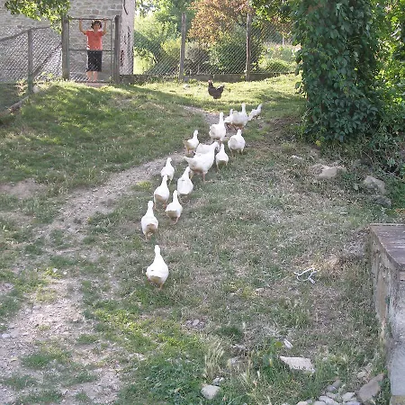 Podere Fiume Pratovecchio